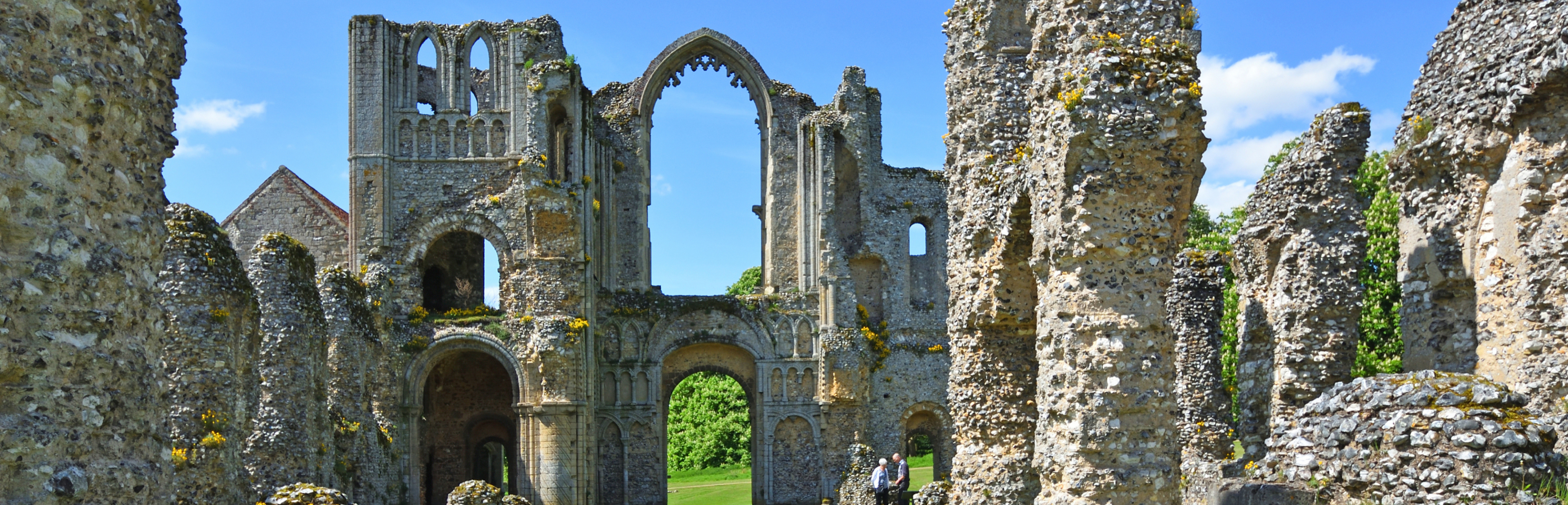 Inner Desktopwalks Banner 1