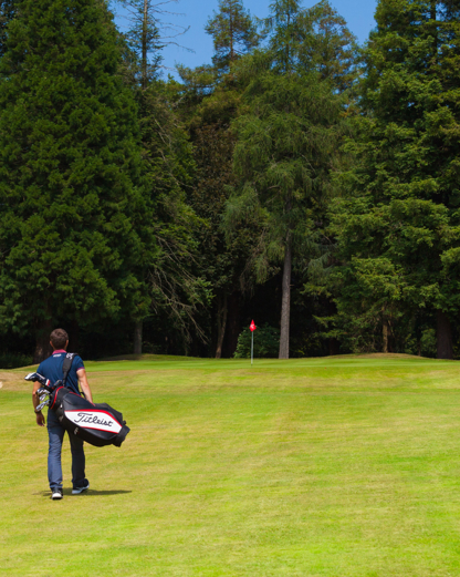 Socialsharing Desktop 01 1