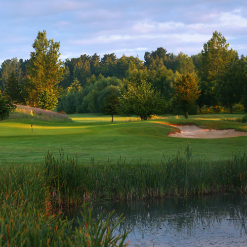 <p>3RD HOLE & GREEN</p>