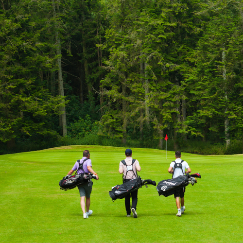<p>GOLFERS</p>