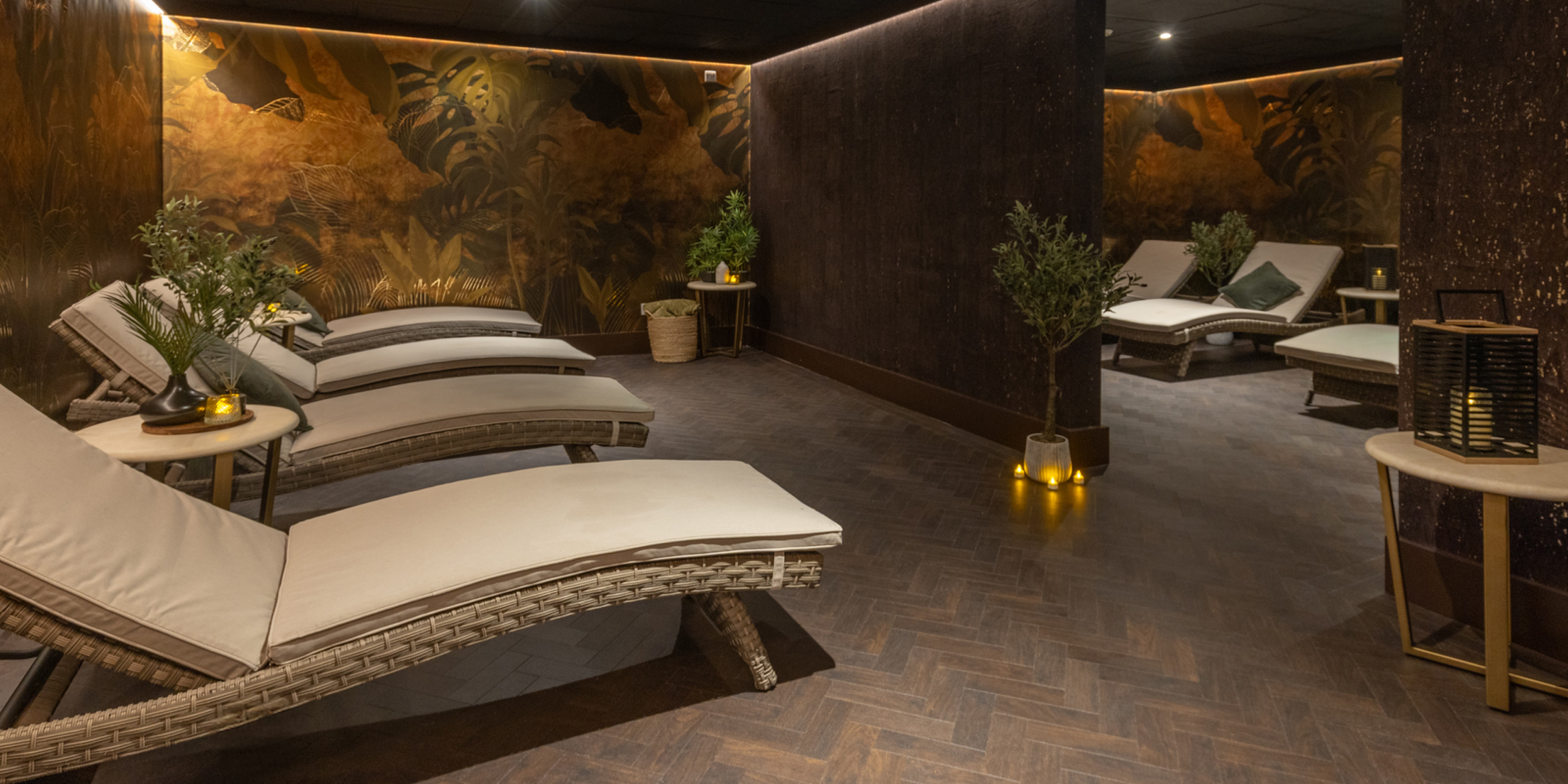 Tripadvisortestimonial Desktop