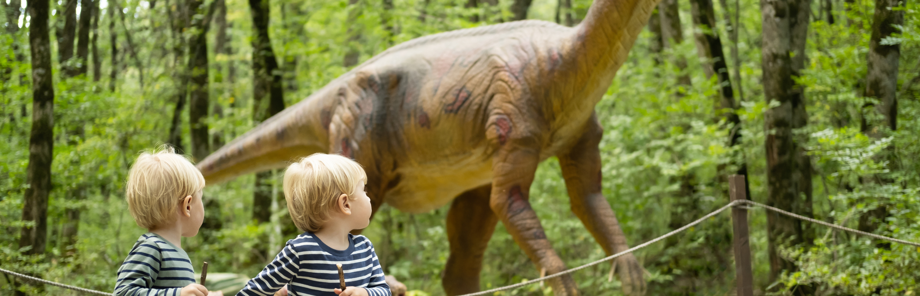 Inner Desktopttd Families Banner