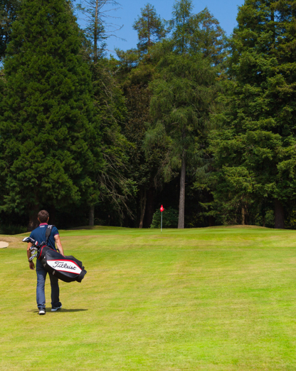 Socialsharing Desktop 01