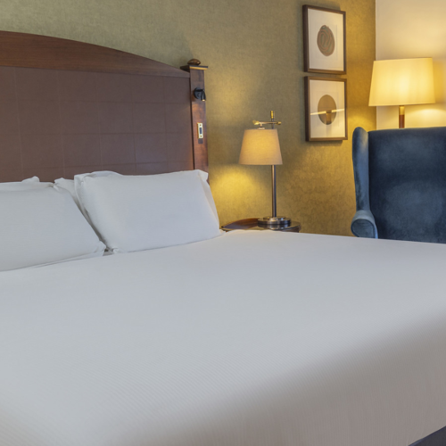 <p>SUPERIOR ROOM</p>