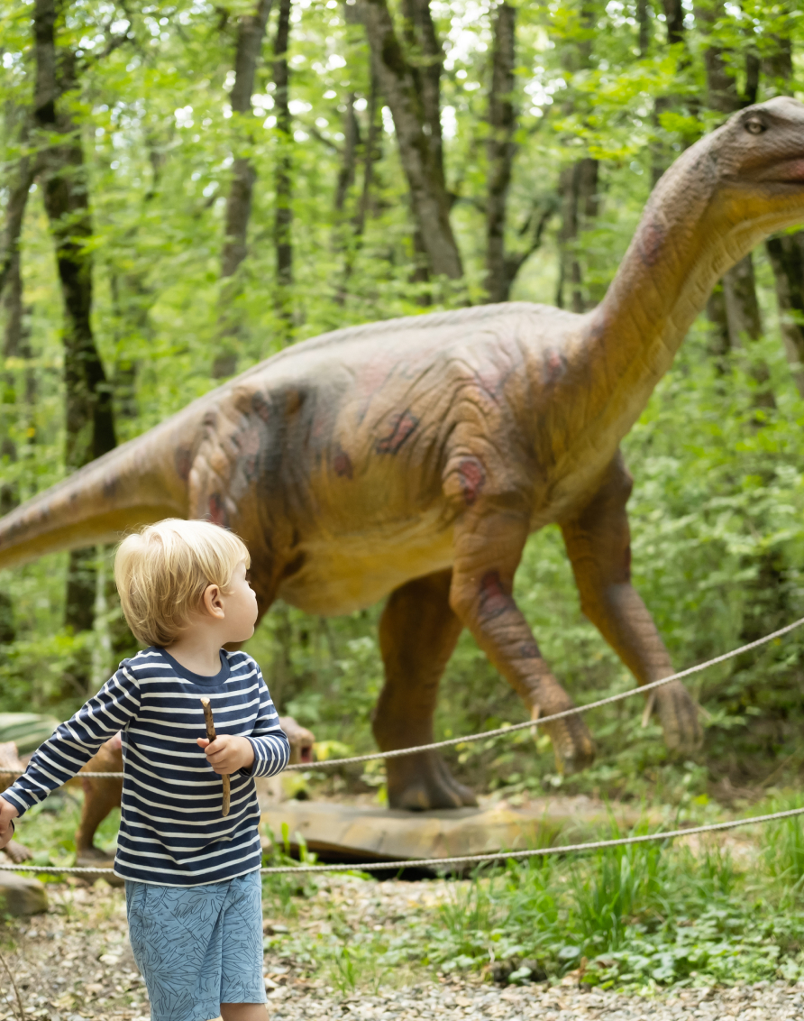 Crosssell Desktop 01 1