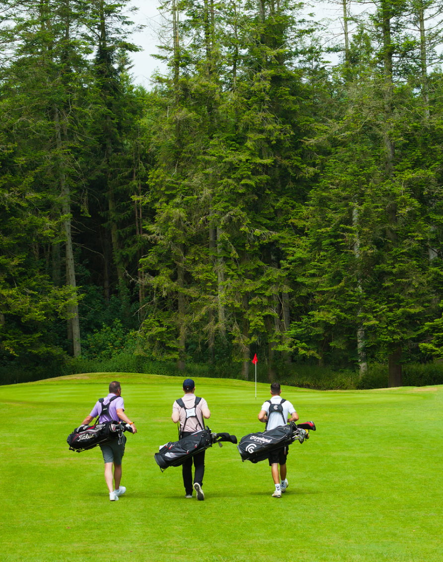 Crosssell Desktop 01 1